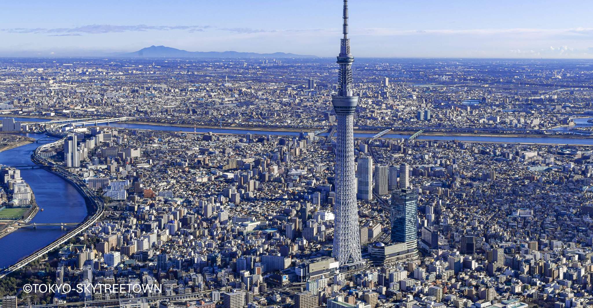 Tokyo: 1 Day Bus Tour with Meiji-Jingu,Odaiba,lunch&Skytree