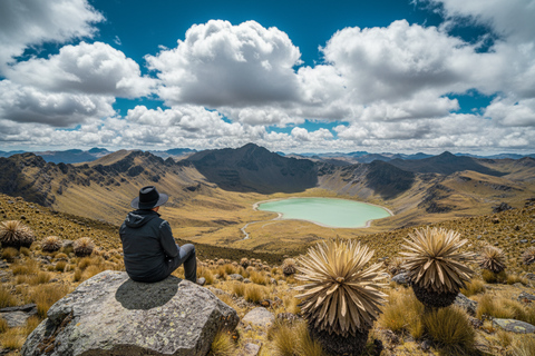 From Bogotá: Siecha Lagoons & Andean Bear Nature Experience