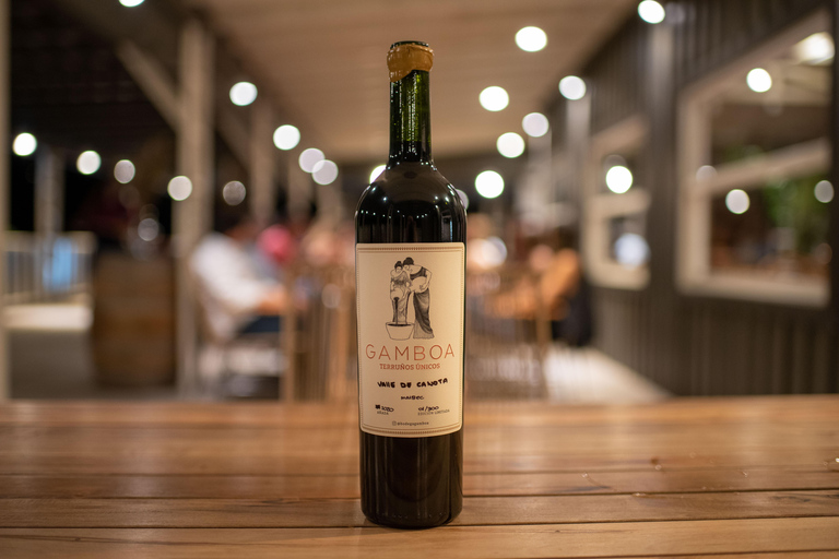 私人 Bodega Gamboa 葡萄酒品尝之旅（含午餐）布宜诺斯艾利斯的私人导游