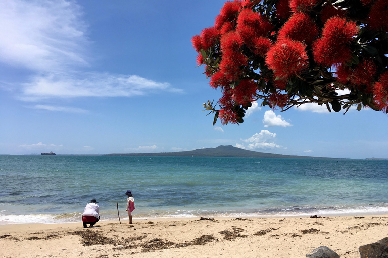 Auckland: Urban Rainforest Half-Day Small Group Walking Tour