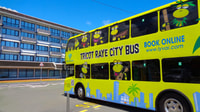 Noumea, Hop-On Hop-Off Bus от терминала круизного лайнера - Housity