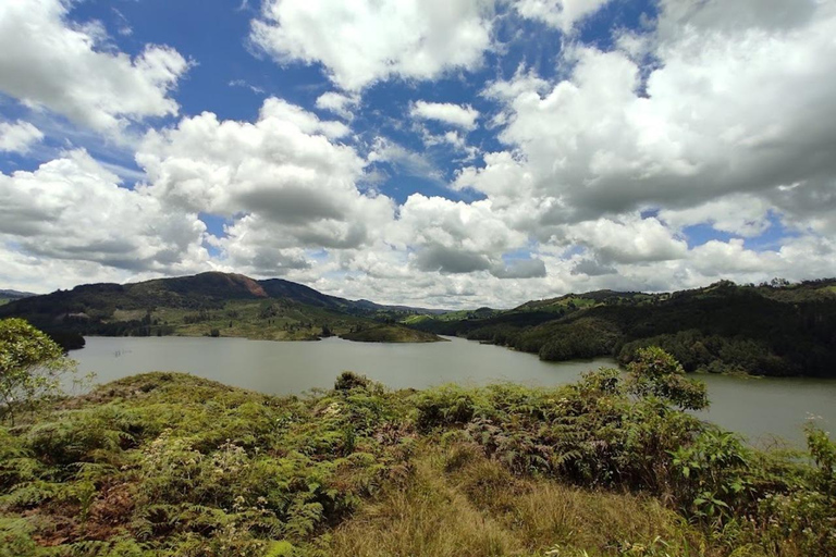 MEDELLIN: WYCIECZKA MLECZARSKA + SZWAJCARIA KOLUMBIJSKA