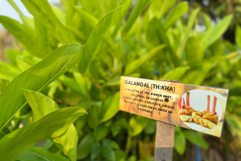 Aonang: Thaise kookles met markt- en moestuintourAonang: Thaise kookles met markt- en keukentuintour