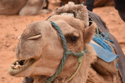 Tour di 5 giorni nel deserto della TunisiaTour di 3 giorni nel deserto della Tunisia