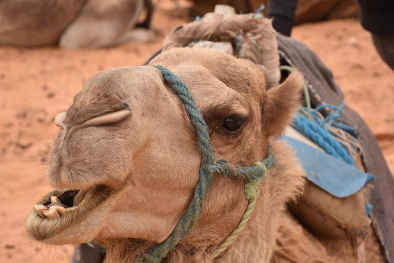 Tour di 5 giorni nel deserto della TunisiaTour di 3 giorni nel deserto della Tunisia