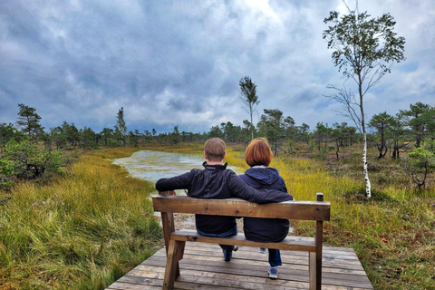 Great Ķemeri Bog & Swamp Forest Hiking Adventure Shared group tour