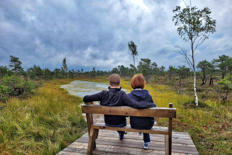 Great Ķemeri Bog & Swamp Forest Hiking Adventure Shared group tour