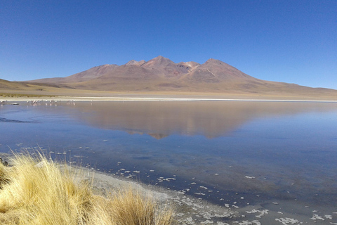 Excursão de 5 dias a Uyuni e à Lagoa Vermelha