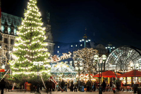 Hambourg : Visite privée du marché de Noël avec un guide régional