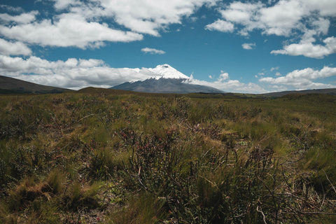 Quito: Wanderung auf dem Vulkanpfad mit Mittagessen