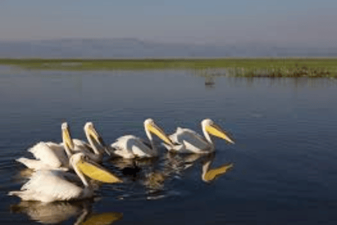 7-Day Omro Valley Tour Itinerary