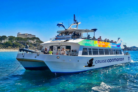 Mallorca: Dolphin Watching Cruise Paguera: Meet at Playa Tora