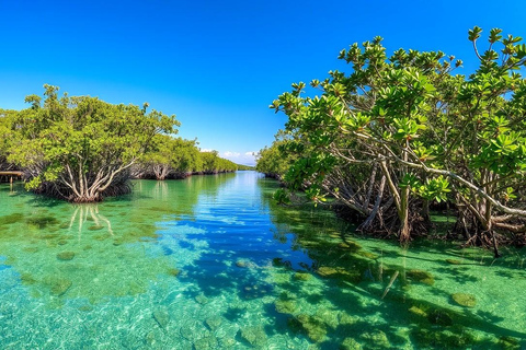 Zanzibar: Safari Blue dagvullende tour met lunch en transfer