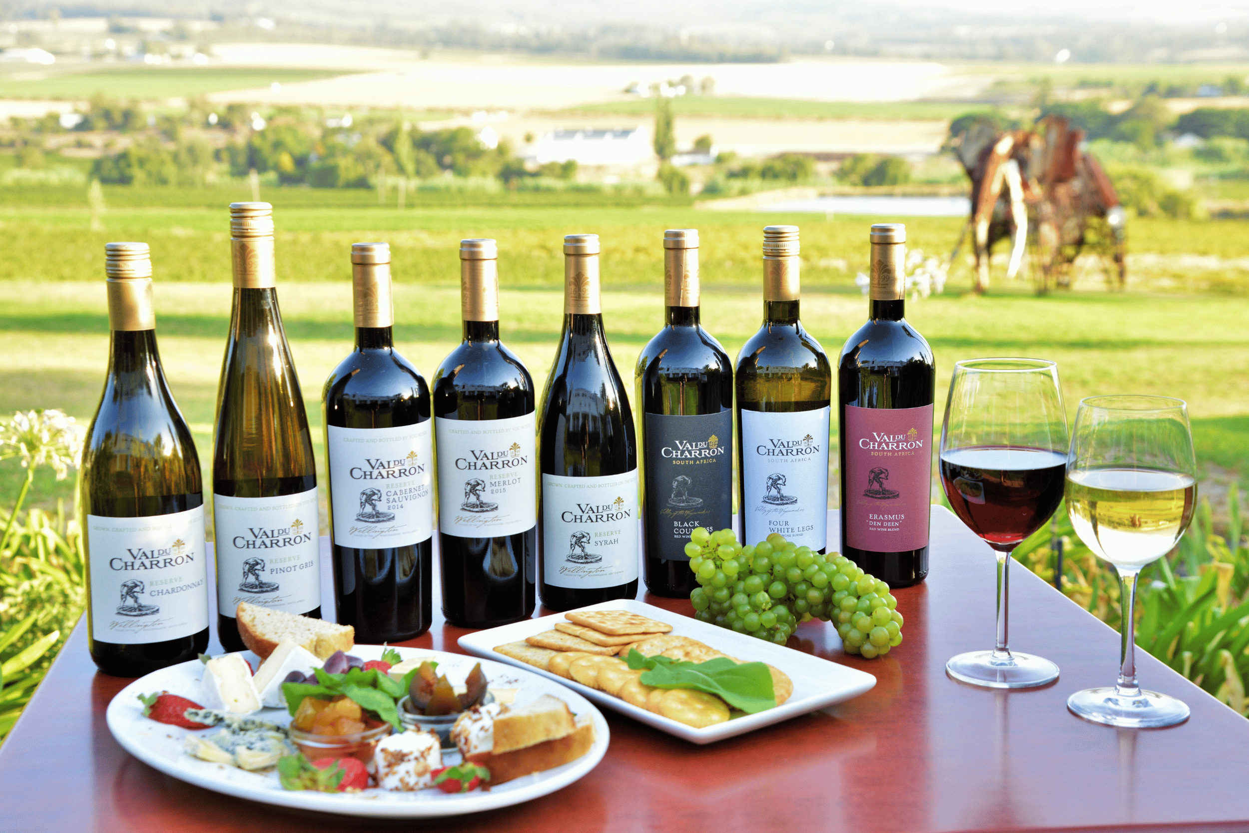Stellenbosch: Premium-Weinprobe mit Mittagessen