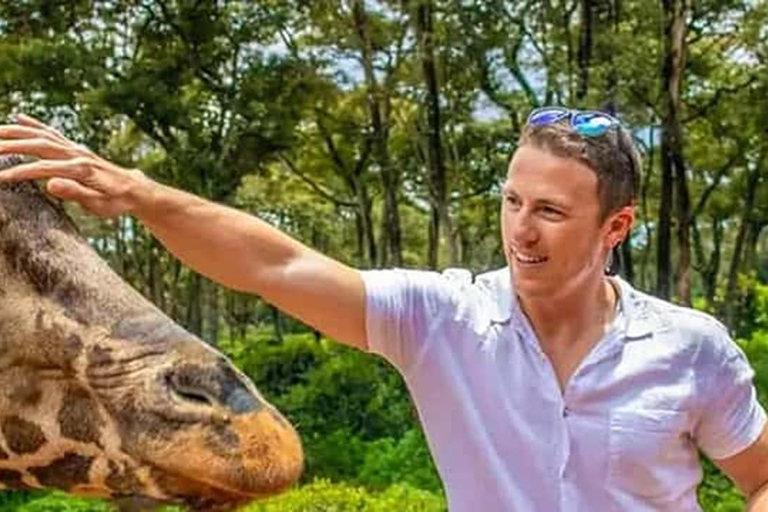 Nairobi: Airport Layover, Private City Tour By Local Guide