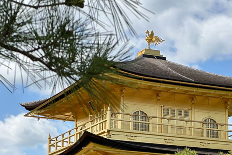 Kyoto Day Trip from Tokyo by Bullet Train Private Tour