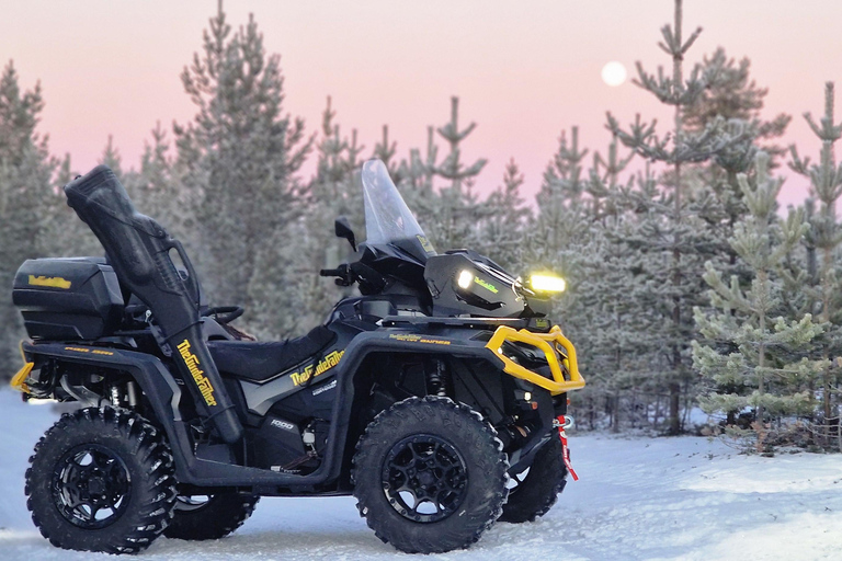 Helsinki: Buggy Ride, Reindeer Farm Visit, and Picnic