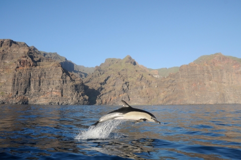 Los Gigantes: Excursión de avistamiento de delfines y ballenas con bebidasTour en barco de 2 horas sin comida