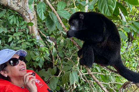 Panama City: Monkey Island & Gatun Lake Tour