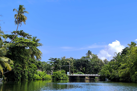 Vanuit Galle/Colombo:Madu riviersafari &amp; bezoek aan een schildpaddenkwekerij