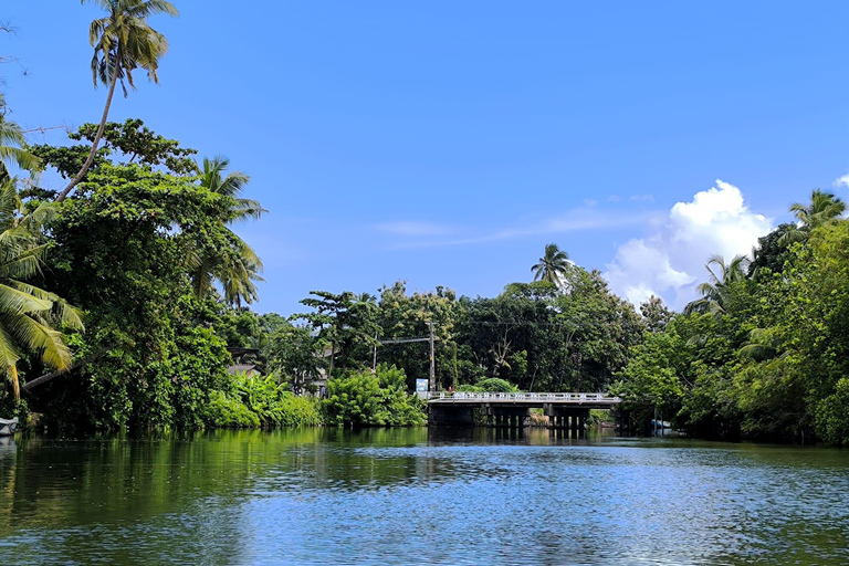 Excursion d&#039;une journée à Galle et Bentota depuis Colombo