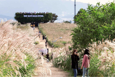 Seoul: Hidden Autumn Foliage, Cafe Pokpo, Nami Island & More D. Autum Foliage & Cafe POKPO & Eunpyeong Hanok& Haneul Park