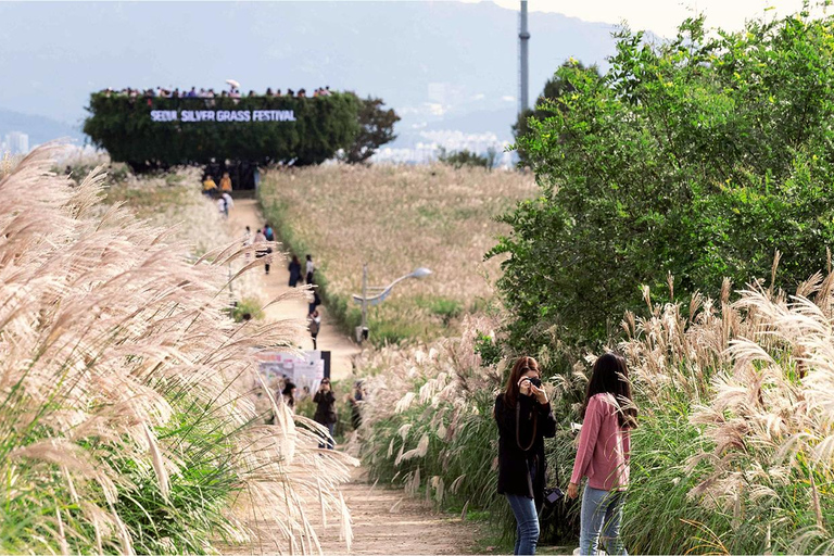 Seoul: Hidden Autumn Foliage, Cafe Pokpo, Nami Island & More D. Autum Foliage & Cafe POKPO & Eunpyeong Hanok& Haneul Park
