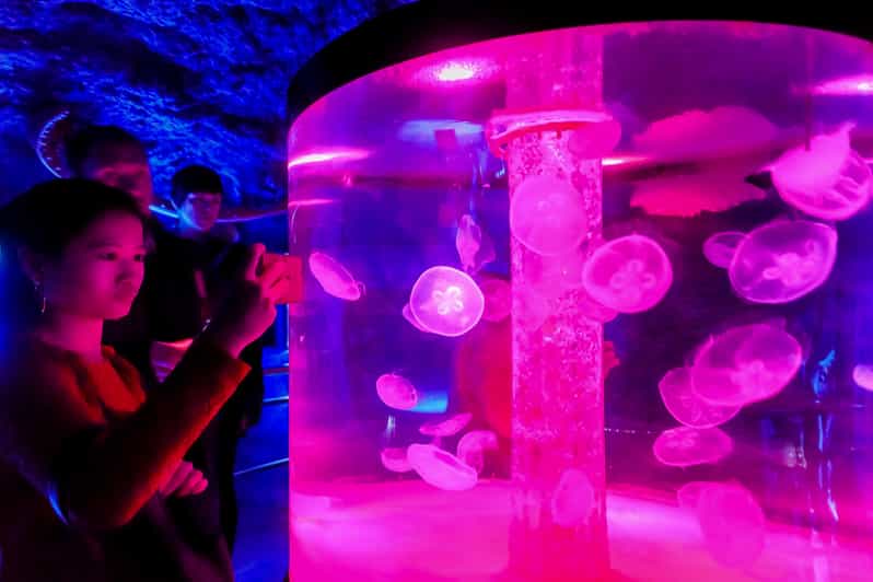 Aquarium de Barcelona ticket de acceso sin colas GetYourGuide