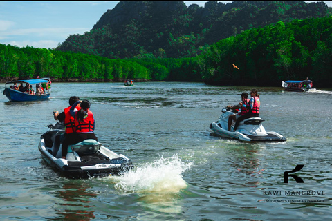 Langkawi: Mangrove Jet Ski Tour with Wildlife Watching