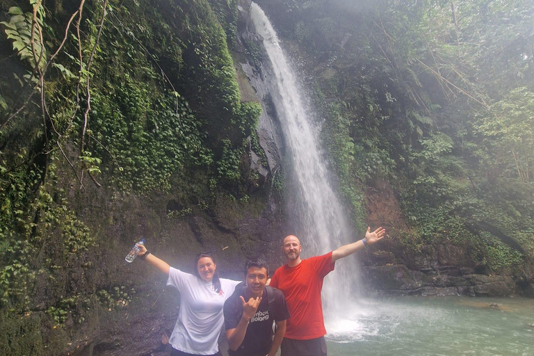Ubud: Private Half-Day Tour Rice Terrace, Temple & Waterfall Private Ubud Half-Day Tour (Without Entrance Ticket)