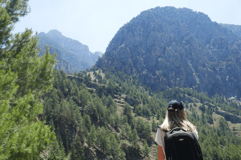 Safaris en Jeep de luxe : Montagnes blanches et visite de la Samarie