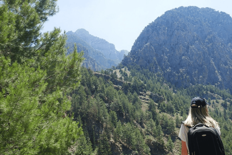 Safaris en Jeep de luxe : Montagnes blanches et visite de la Samarie