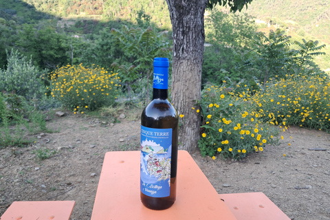 Vernazza: Olive Grove Tour and 5 Terre Olive Oil and Wine Tasting Vernazza (5 Terre): olive grove tour and oil and wine tasting
