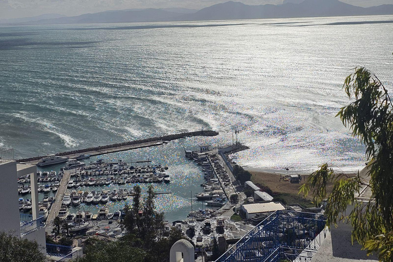 Excursión de un día a Cartago y Sidi Bou Said