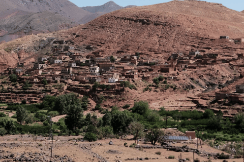 من فاس: رحلة ذهاب وعودة لمدة يومين عبر صحراء مرزوقة وركوب الجمالخيار الجولة المشتركة