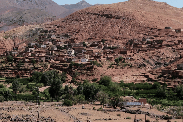 من فاس: رحلة ذهاب وعودة لمدة يومين عبر صحراء مرزوقة وركوب الجمالخيار الجولة المشتركة