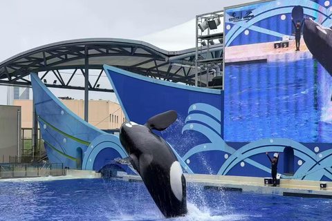 Shanghai: Haichang Ocean Park Entry Ticket Shanghai: Haichang Ocean Park Summer Discount Ticket