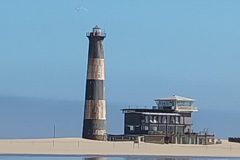 Walvis Bay: Excursão ao Pelican Point Seal e ao Sandwich Harbour