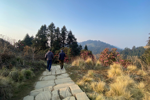 Nepal entdecken: 12-tägige Trekking- und Wildlife-Expedition