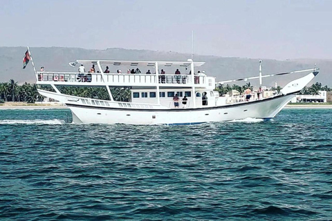 Salalah: Swimming with Dolphins with Lunch &amp; Pick up