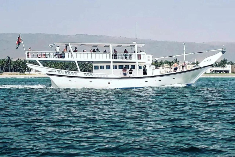 Salalah: Swimming with Dolphins with Lunch &amp; Pick up