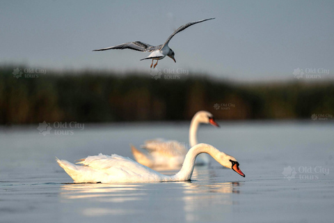 Shirvan Eco-Tour: Gazelles, Birdwatching & Village Lunch Private tour