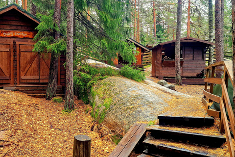 Helsinki: Buggy Ride, Reindeer Farm Visit, and Picnic