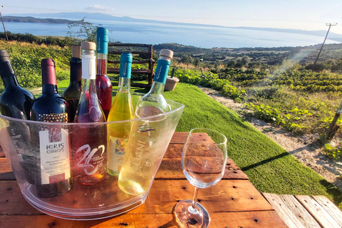 Saloniki: Halkidiki, Arnaia, Ierissos - pływanie i degustacja