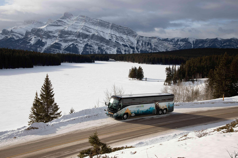 Z Calgary: Transfer autobusem do BanffTransfer w jedną stronę z hoteli w centrum Calgary do Banff