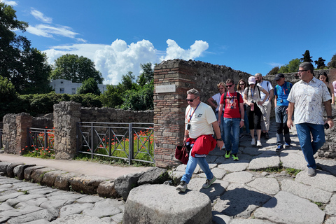 From Naples Port: Pompeii Guided Walking tour or smart guide English guided tour