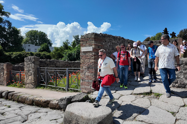 From Naples Port: Pompeii Guided Walking tour or smart guide English guided tour