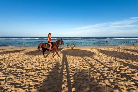 Hurghada : Randonnée à cheval le long de la mer et du désert avec transferts