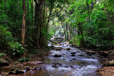 Chiang Mai: 3-Day Karen Hill Tribe Immersion with Trekking
