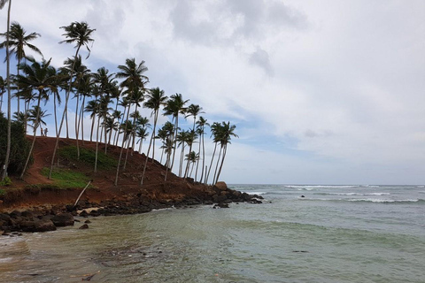 From Colombo: Mirissa Coconut Tree Hill, Beach & Rock Tour